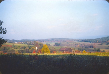 Enlarge photo 50