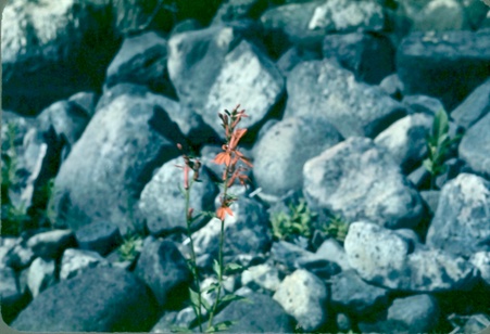 Enlarge photo 35
