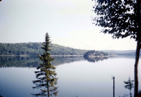 Enlarge photo 48