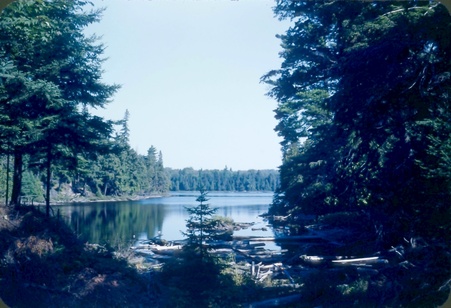 Enlarge photo 49