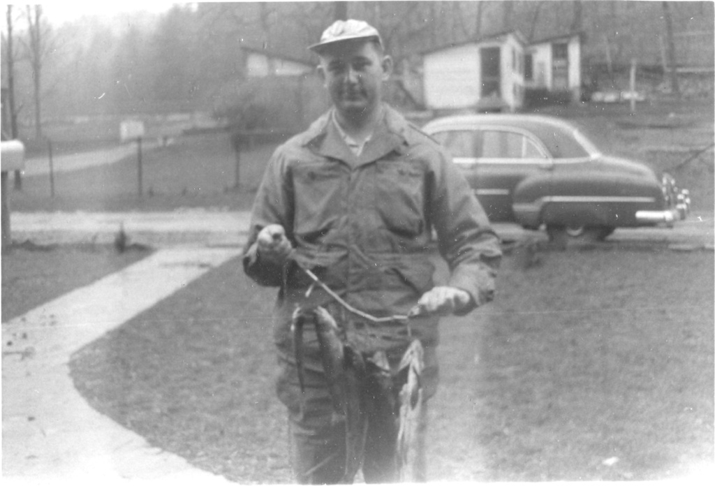 View Original Image