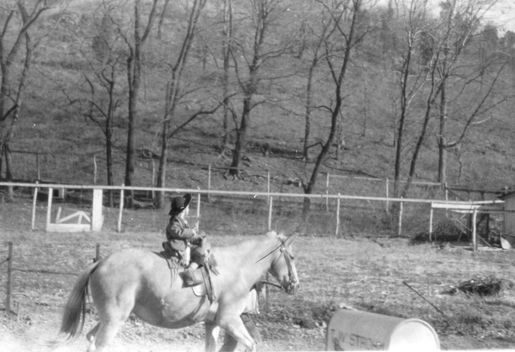 View Original Image