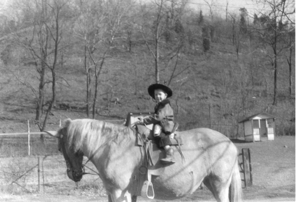 View Original Image