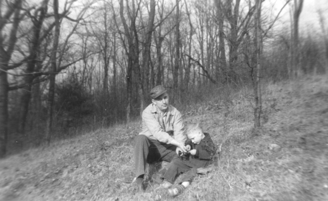 View Original Image