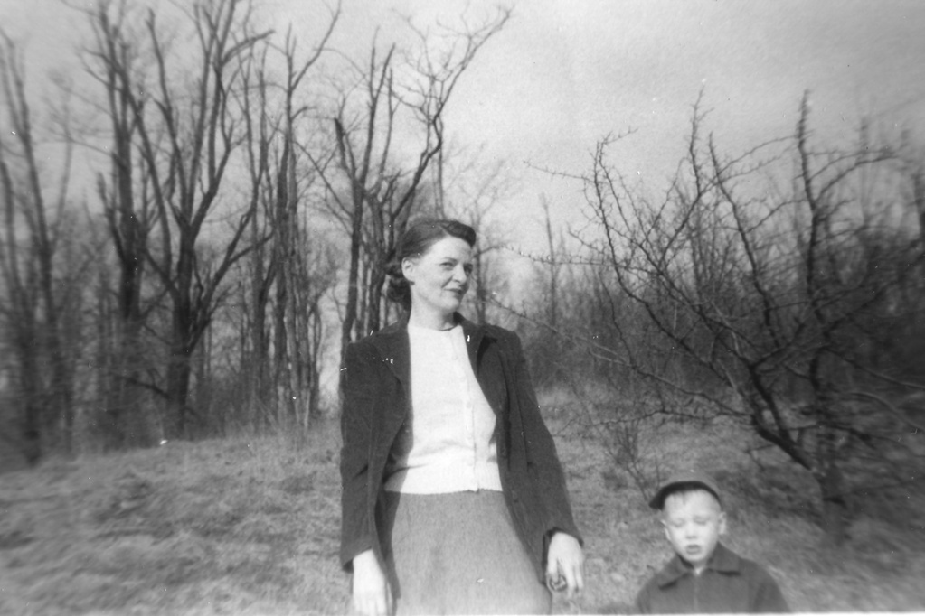 View Original Image