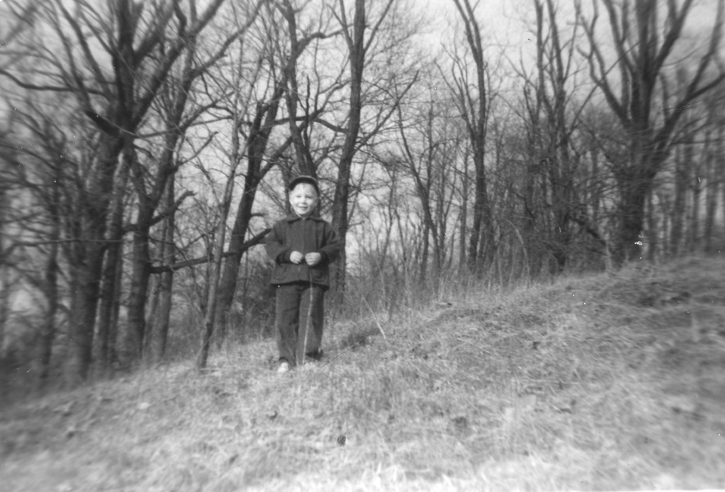 View Original Image