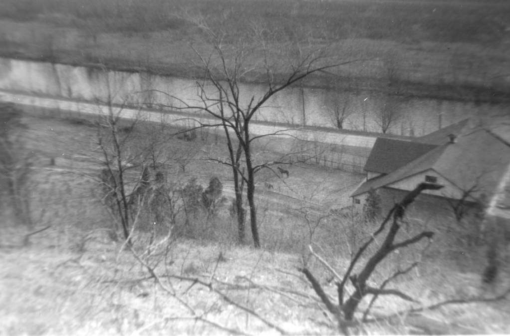 View Original Image