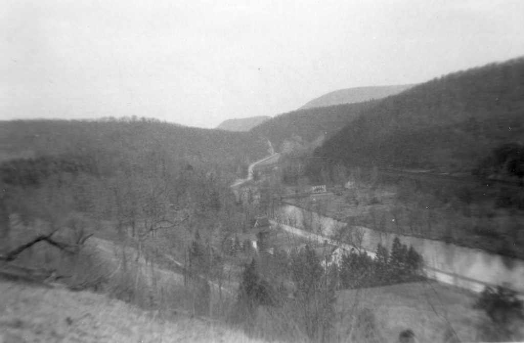View Original Image
