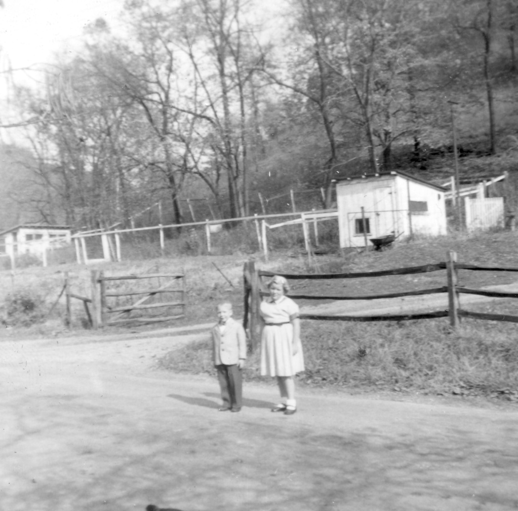 View Original Image
