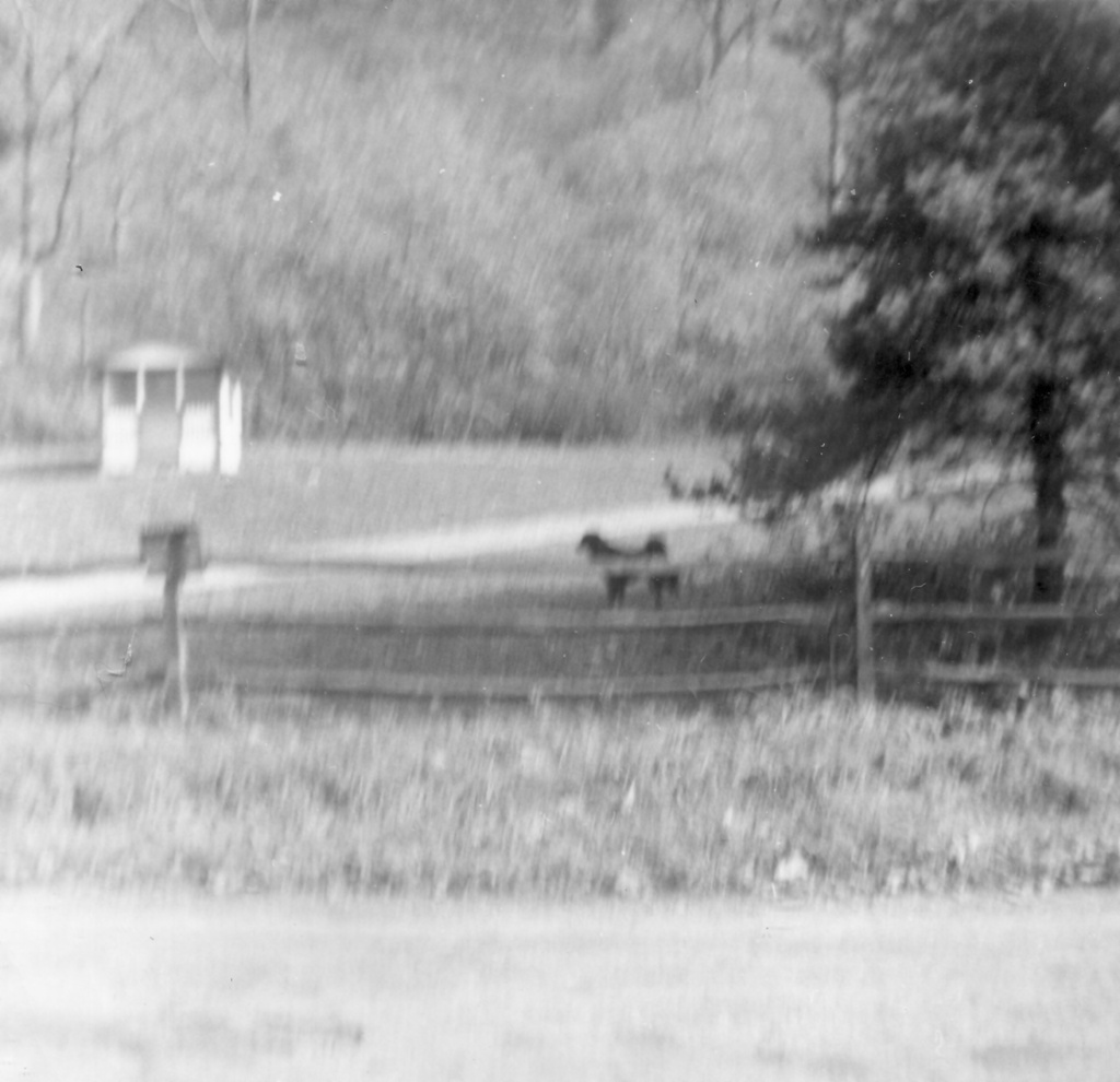 View Original Image