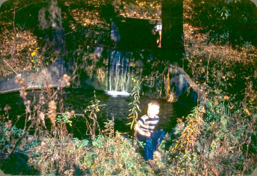 View Original Image