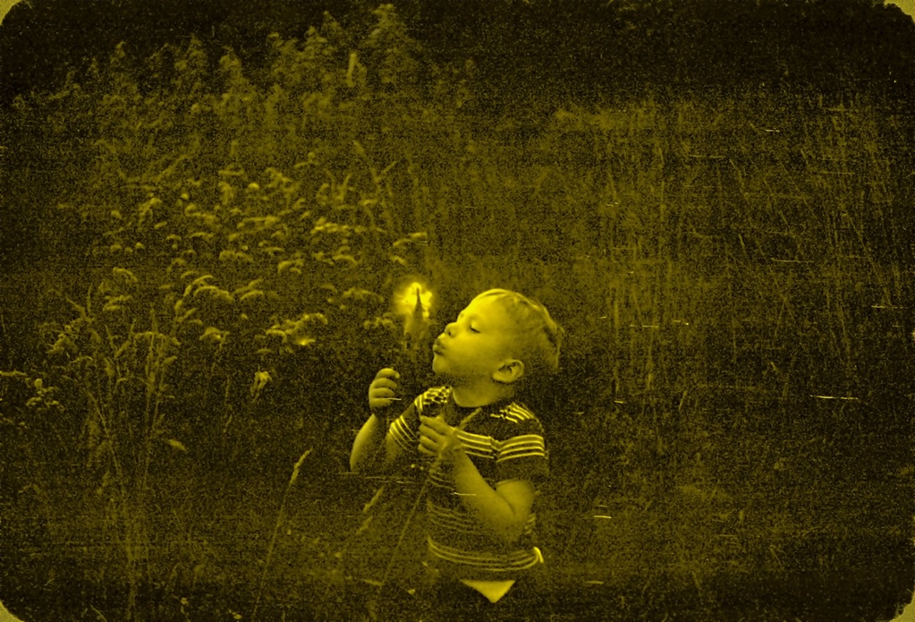 View Original Image