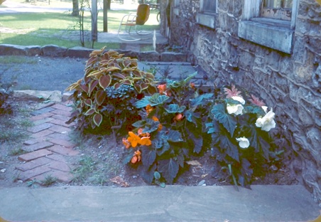 Enlarge photo 21
