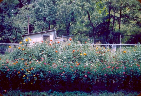 Enlarge photo 22