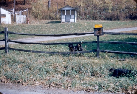 Enlarge photo 4