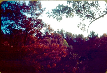 Enlarge photo 23