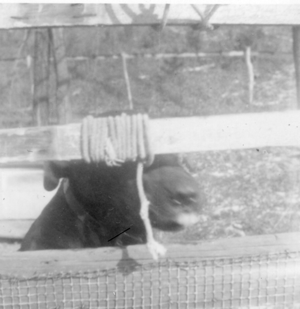 View Original Image