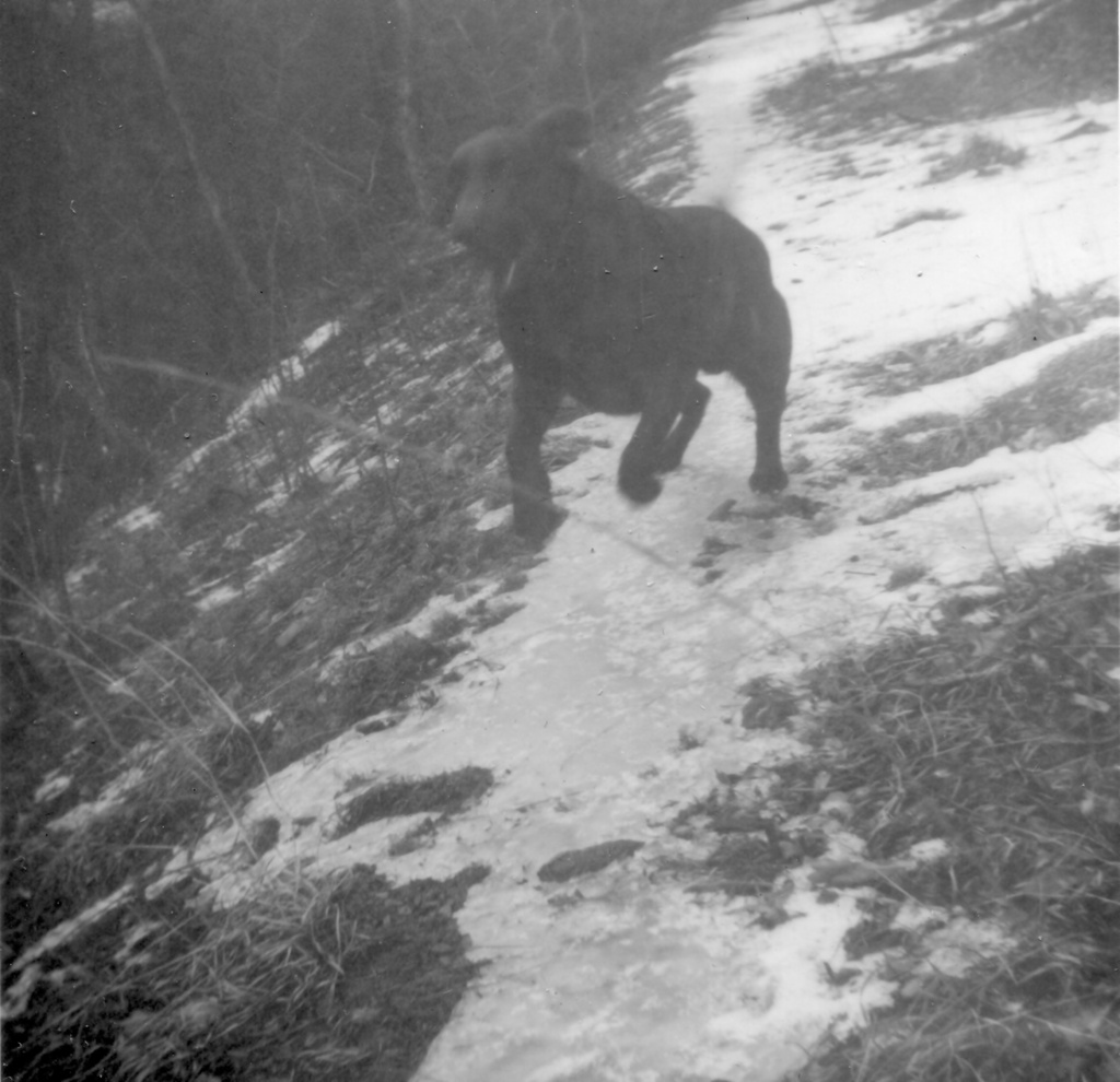 View Original Image