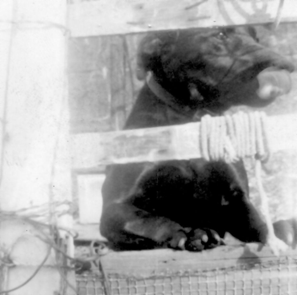 View Original Image