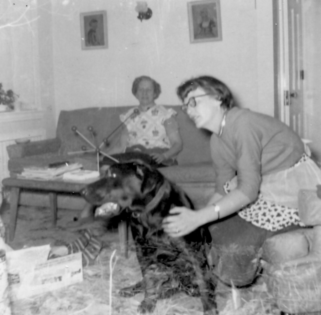 View Original Image