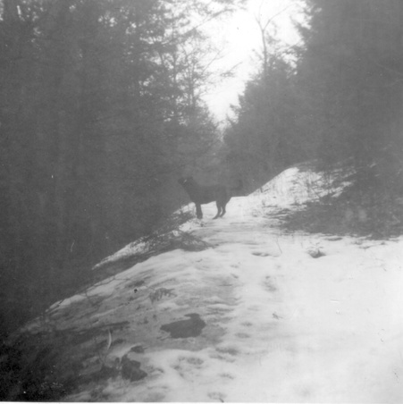 Enlarge photo 6