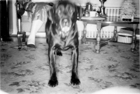 Enlarge photo 19