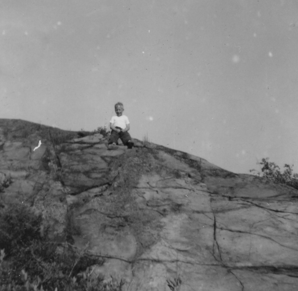 View Original Image