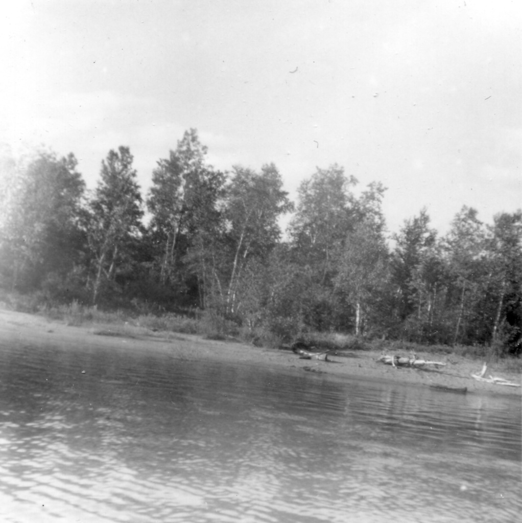 View Original Image