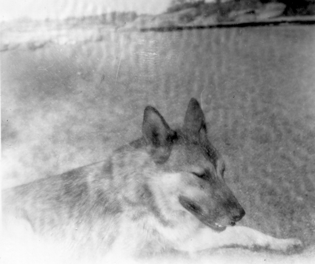 View Original Image