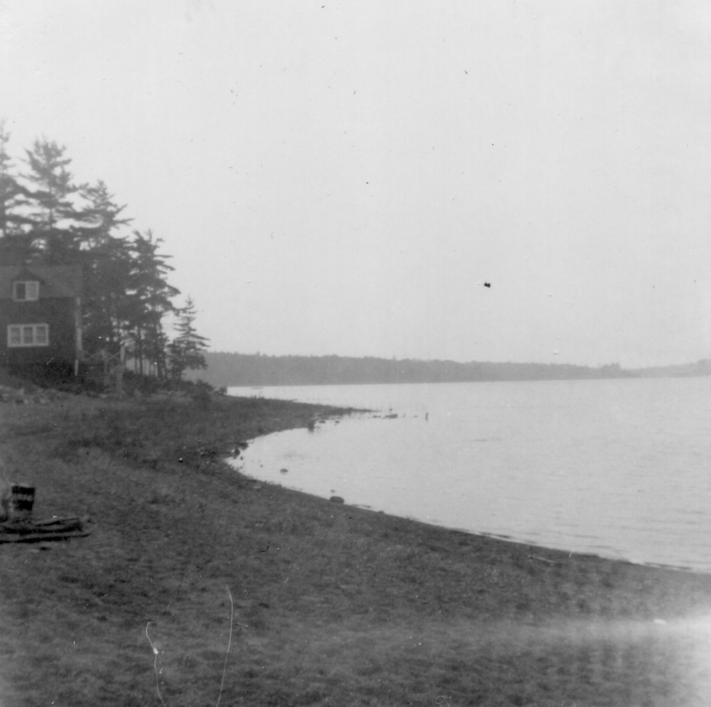 View Original Image