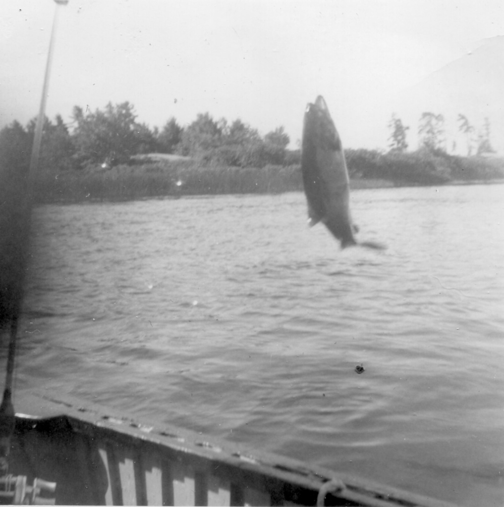 View Original Image
