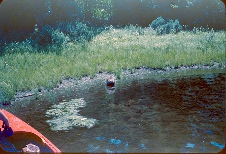 Enlarge photo 32