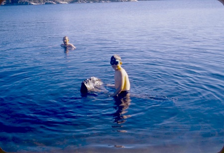 Enlarge photo 19