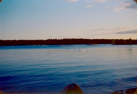 Enlarge photo 31
