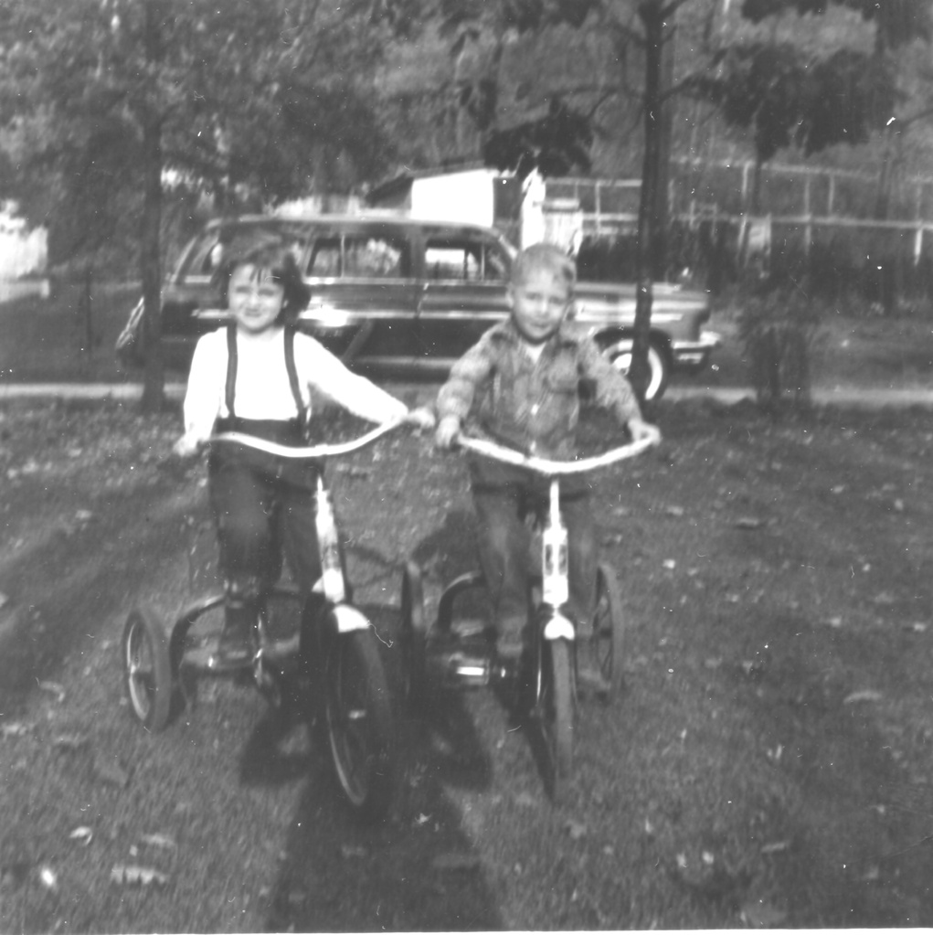 View Original Image