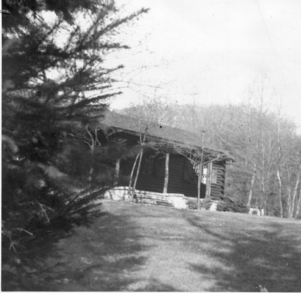 View Original Image