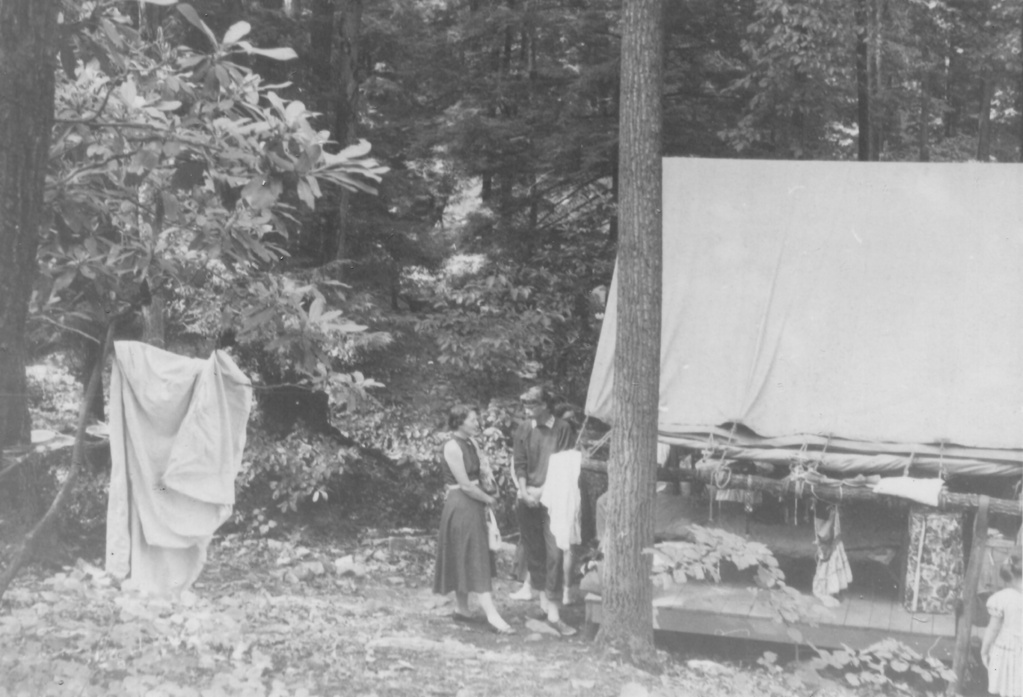 View Original Image