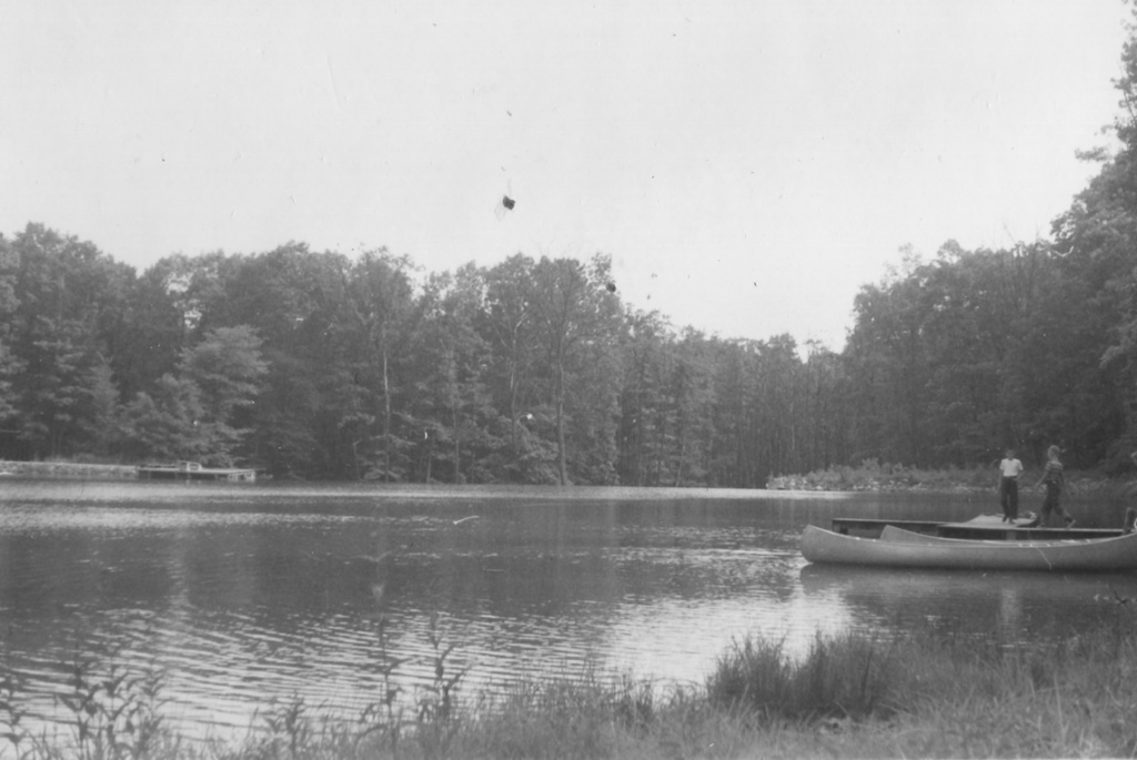 View Original Image