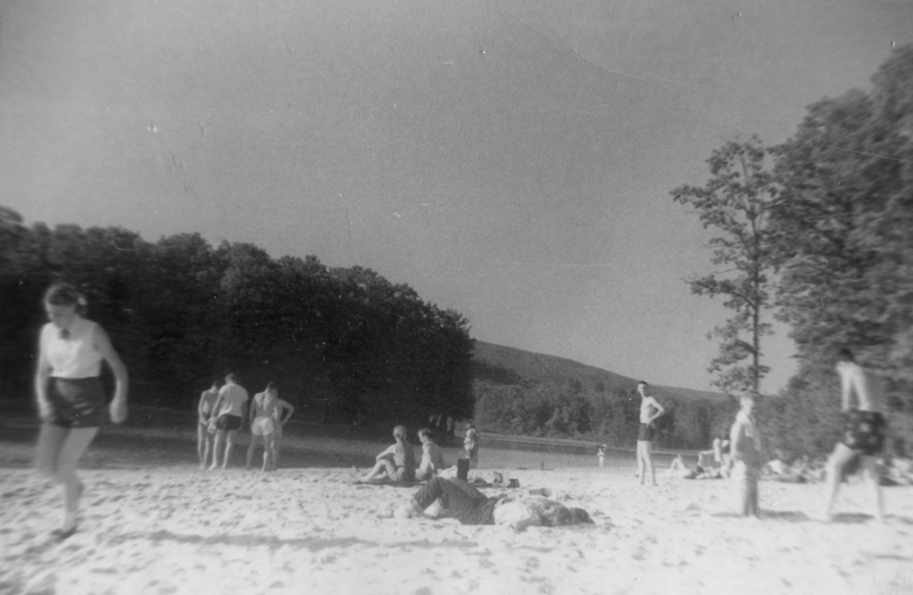 View Original Image