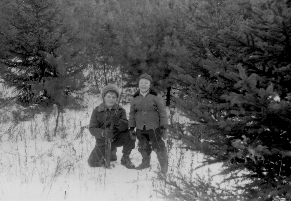 View Original Image