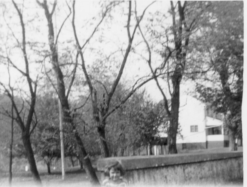 View Original Image