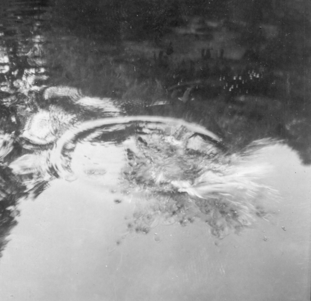 View Original Image
