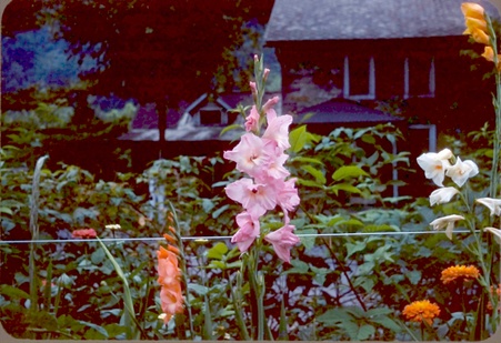 Enlarge photo 6