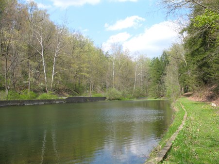 Enlarge photo 1