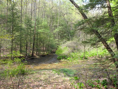 Enlarge photo 4