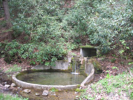 Enlarge photo 5