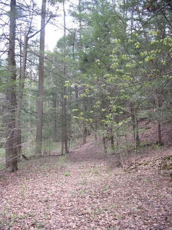 Enlarge photo 11