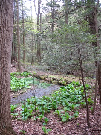 Enlarge photo 10