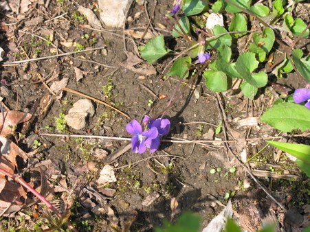Enlarge photo 15