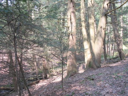 Enlarge photo 17